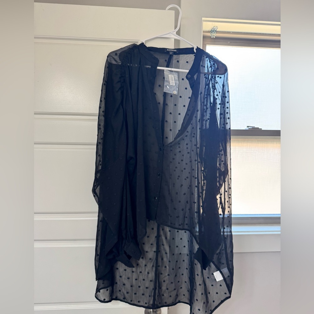 Sheer Black Polka Dot Blouse